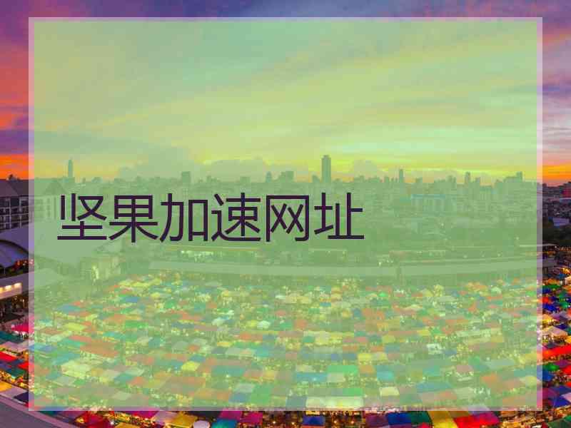 坚果加速网址